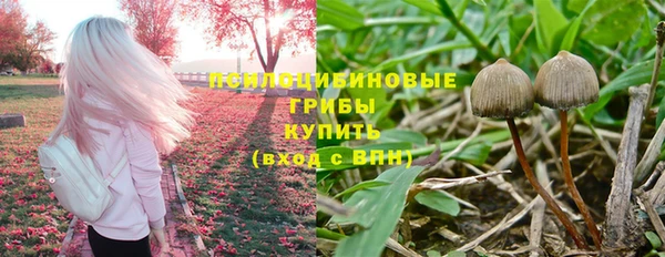 герыч Алексеевка